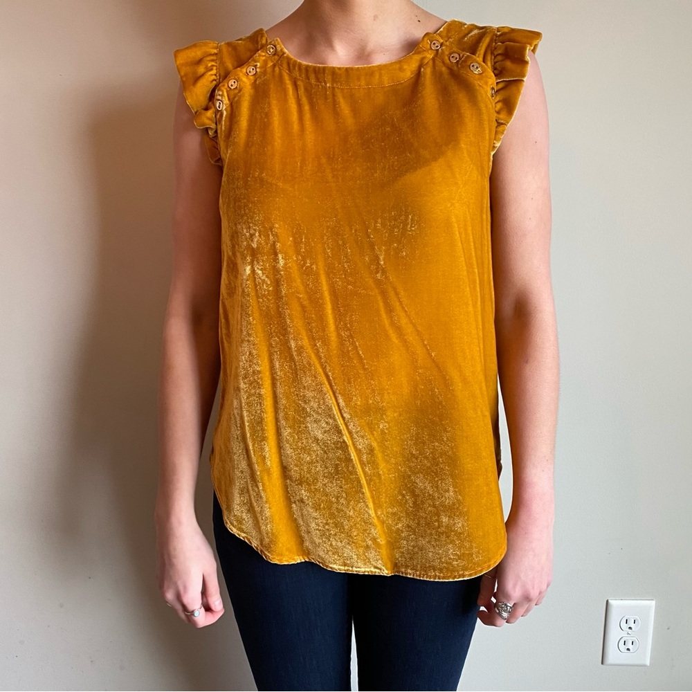 LOFT | Velvet Top